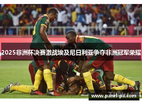 2025非洲杯决赛激战埃及尼日利亚争夺非洲冠军荣耀 2025非洲杯决赛激战埃及尼日利亚争夺非洲冠军荣耀