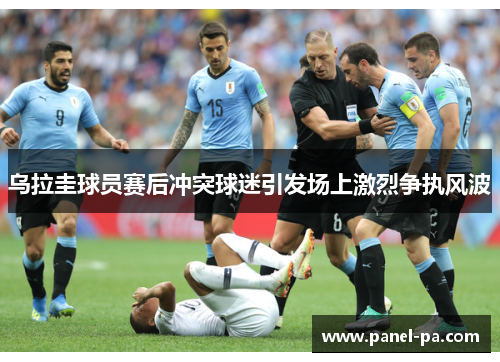 乌拉圭球员赛后冲突球迷引发场上激烈争执风波 乌拉圭球员赛后冲突球迷引发场上激烈争执风波
