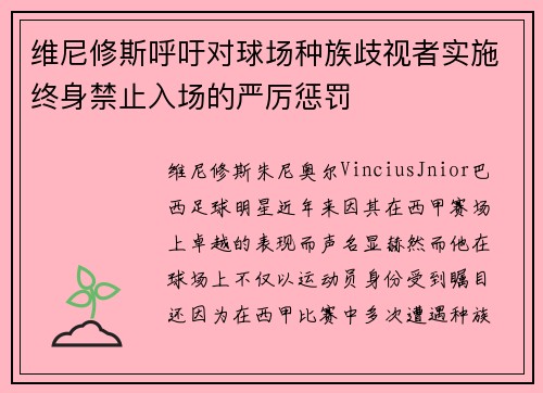 维尼修斯呼吁对球场种族歧视者实施终身禁止入场的严厉惩罚 维尼修斯呼吁对球场种族歧视者实施终身禁止入场的严厉惩罚